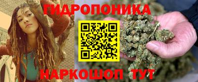 гидропоника Краснознаменск