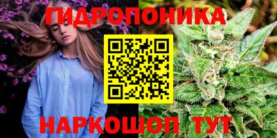 гидропоника Краснознаменск