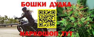 гидропоника Краснознаменск